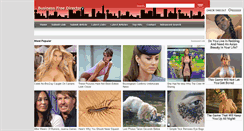 Desktop Screenshot of businessfreedirectory.com